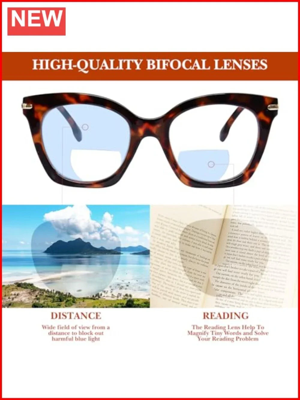Women's Bifocal Reading Glasses Cat Eye Oversized Readers